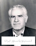 محمد حنیفی